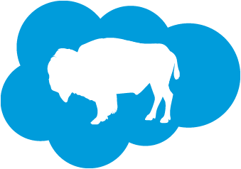 Buffalo Salesforce User Group Image